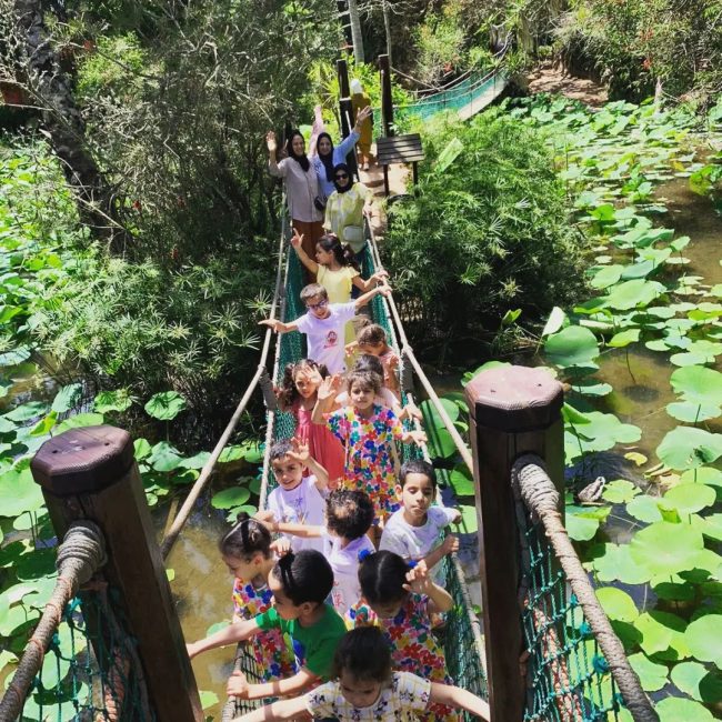 345647881_1301205437164755_9121915350750704505_n